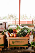 Fresh Food Box