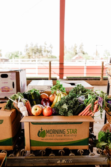 Fresh Food Box